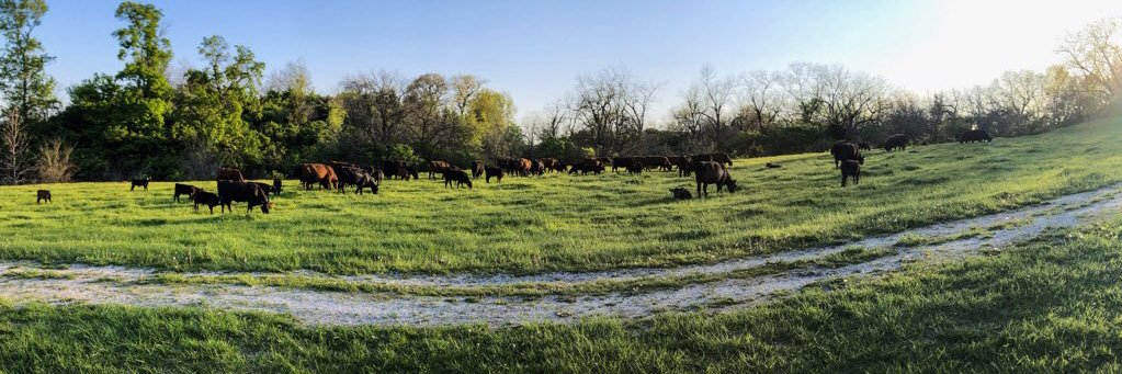 Wesley DeClercq banner