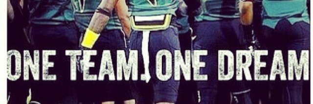 Christian Swint banner