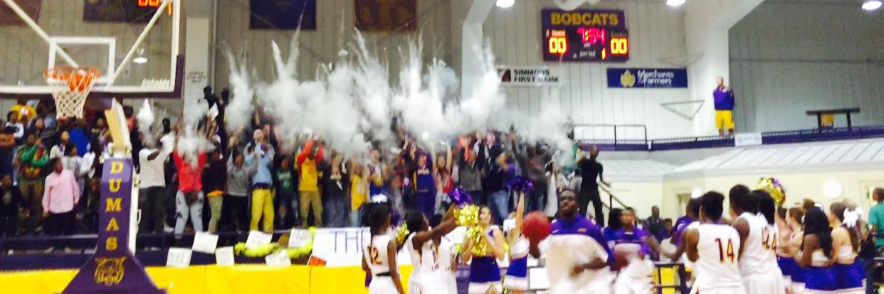 THE CAGE banner