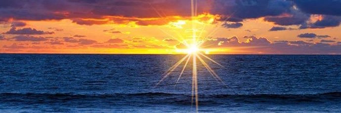 SharonPuccio's profile banner image