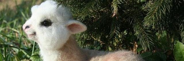 SeanDCLXVI's profile banner image
