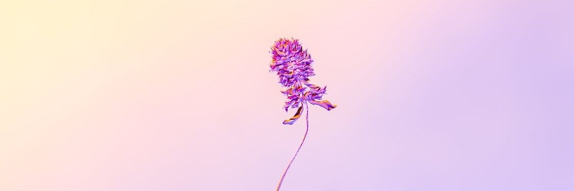 MarDeBooks's profile banner image