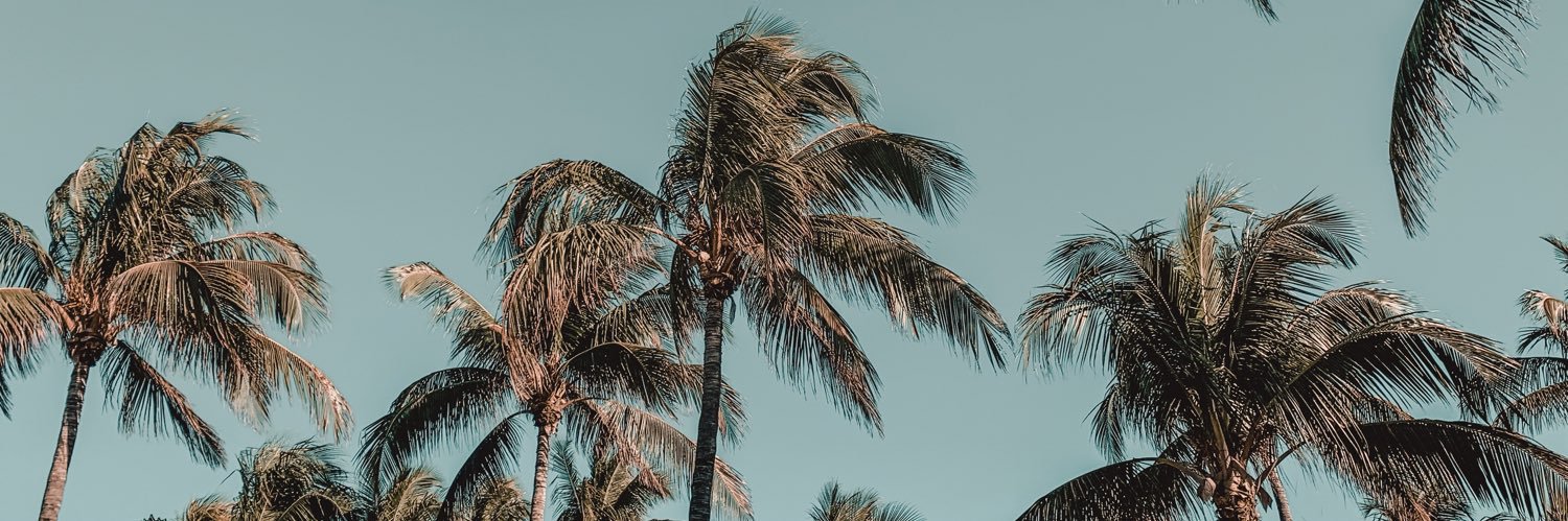 alyssadac's profile banner image