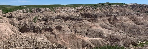 tracethemitten Profile Banner