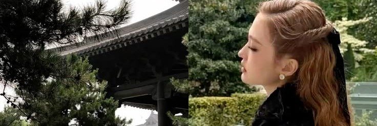 zipwpy's profile banner image