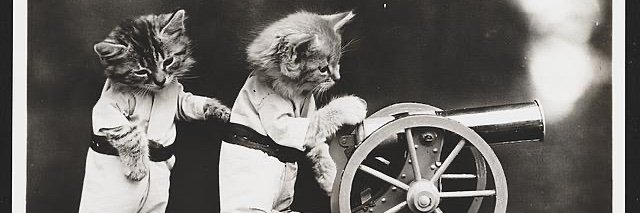 Kaete O'Connell banner