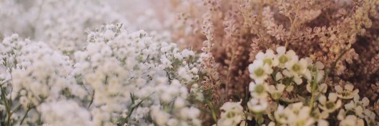 Megan_Peters5's profile banner image