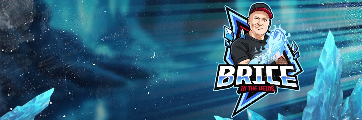 Briceintheveins banner