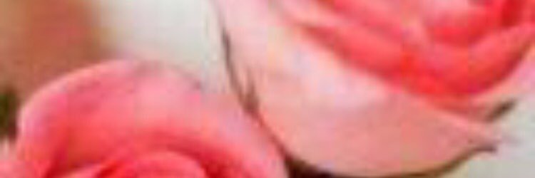 magicwh1's profile banner image