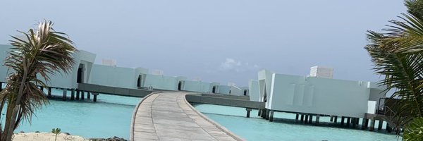 MsGoodieNewShoe Profile Banner