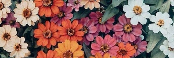 brimarichalg Profile Banner