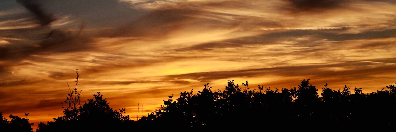 Neil McKinley banner