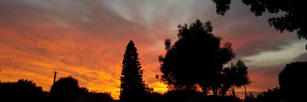 Randicorn2 Profile Banner