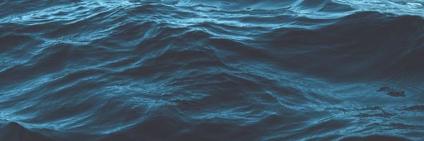 reallysatoshi Profile Banner