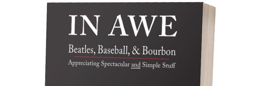 Steve Palec banner