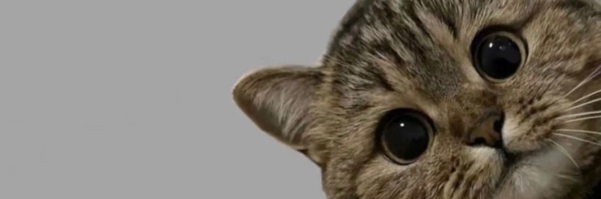 plumpalm30's profile banner image