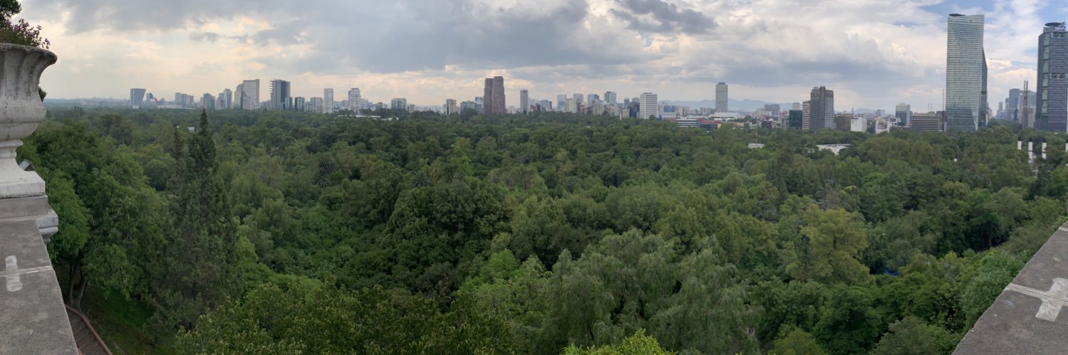 big daddy swole banner