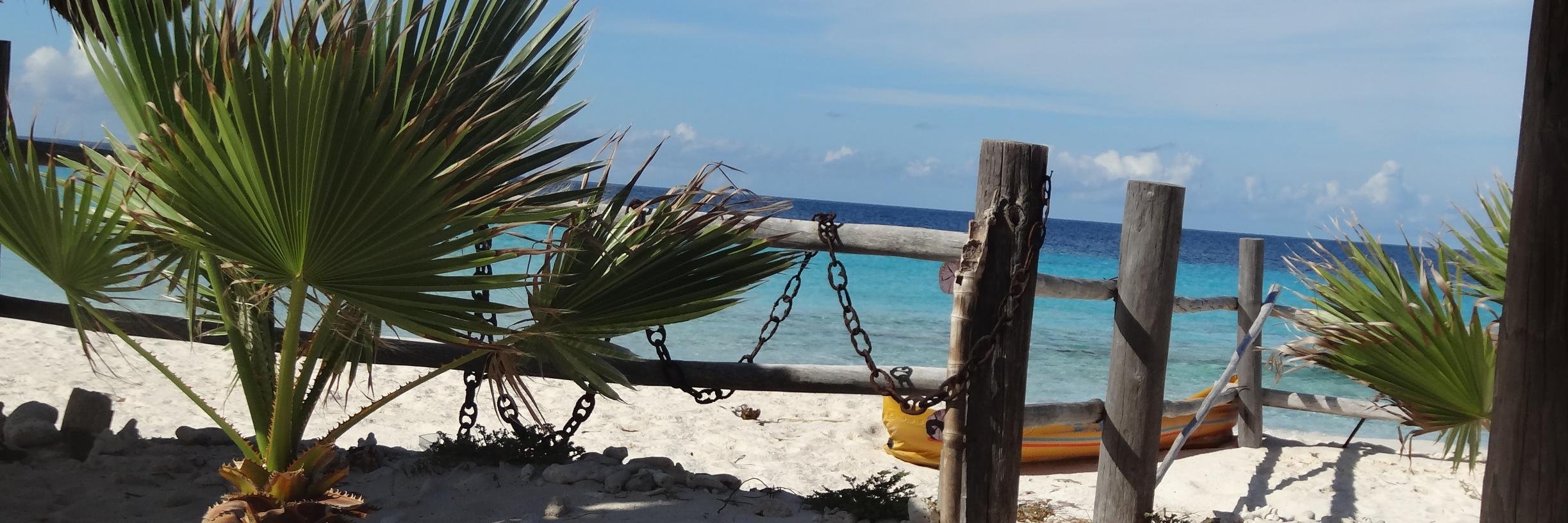 Irisvanderleest's profile banner image