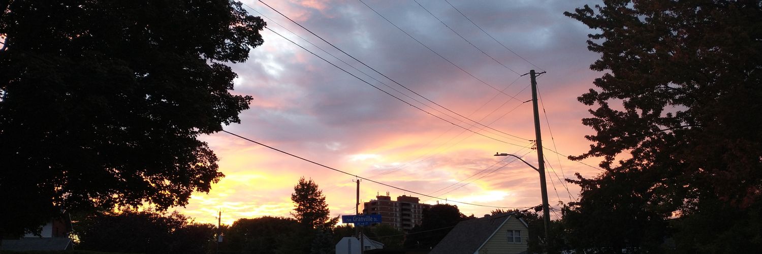 Laura Shantz banner
