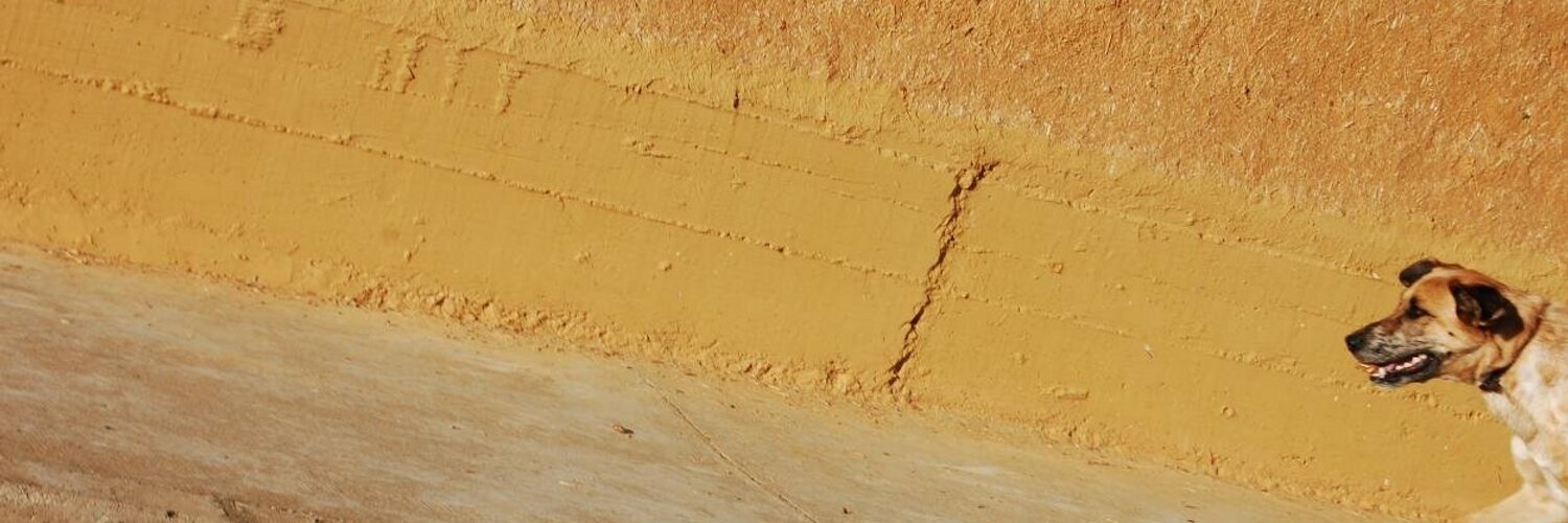 golordecoco's profile banner image