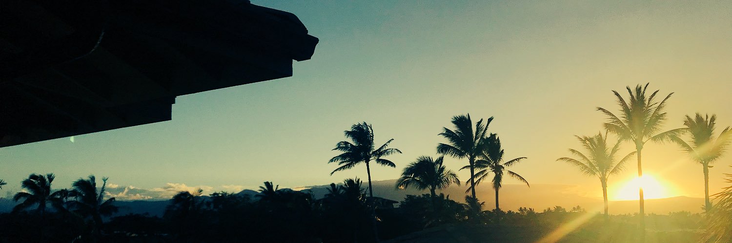 veronicawipp's profile banner image