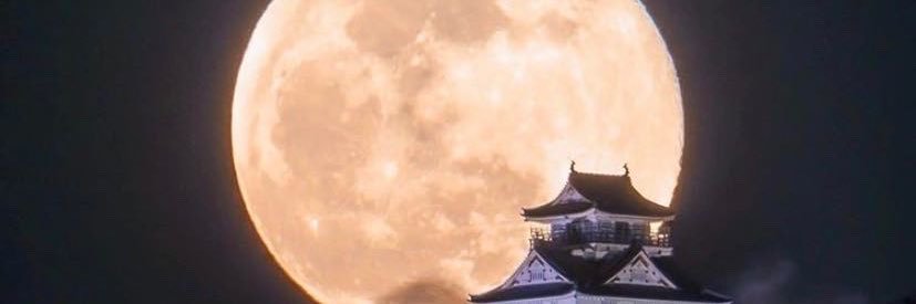 ailiouo banner