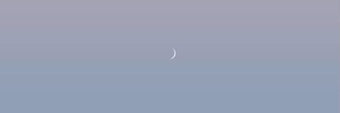 whosthetea's profile banner image