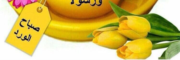 moayadalshami's profile banner image