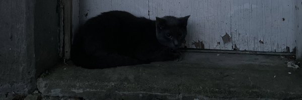 k_r11a Profile Banner