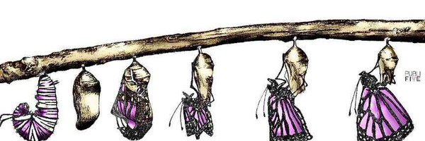 DaniaRavel Profile Banner
