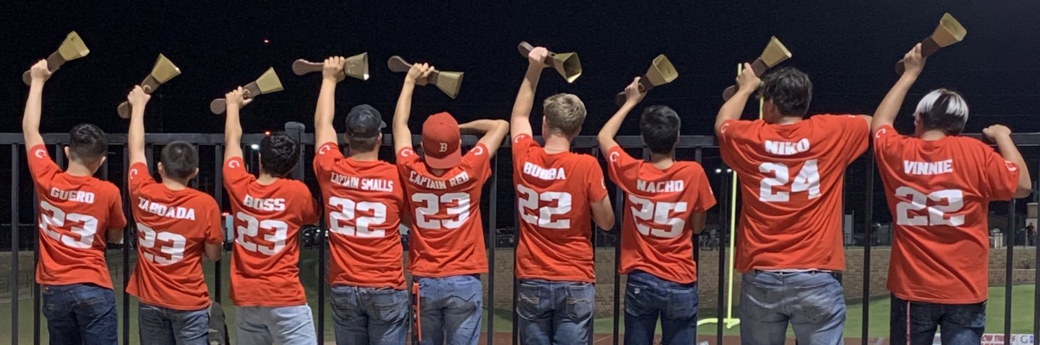 ❂HS WILDBUNCH banner