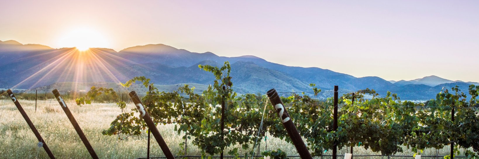 LDVwinegallery's profile banner image