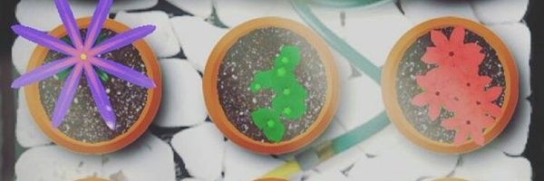 kimochand's profile banner image