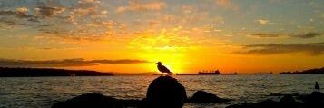philinvancouver's profile banner image