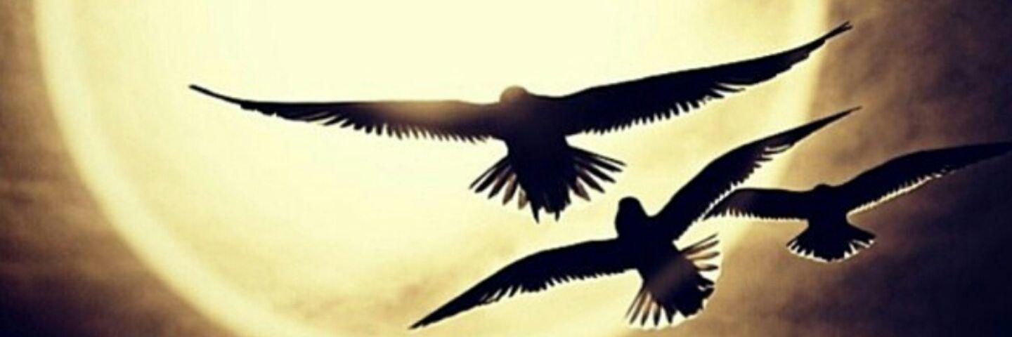 __meleKK's profile banner image