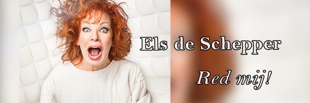 Reusel, 't Schouw banner