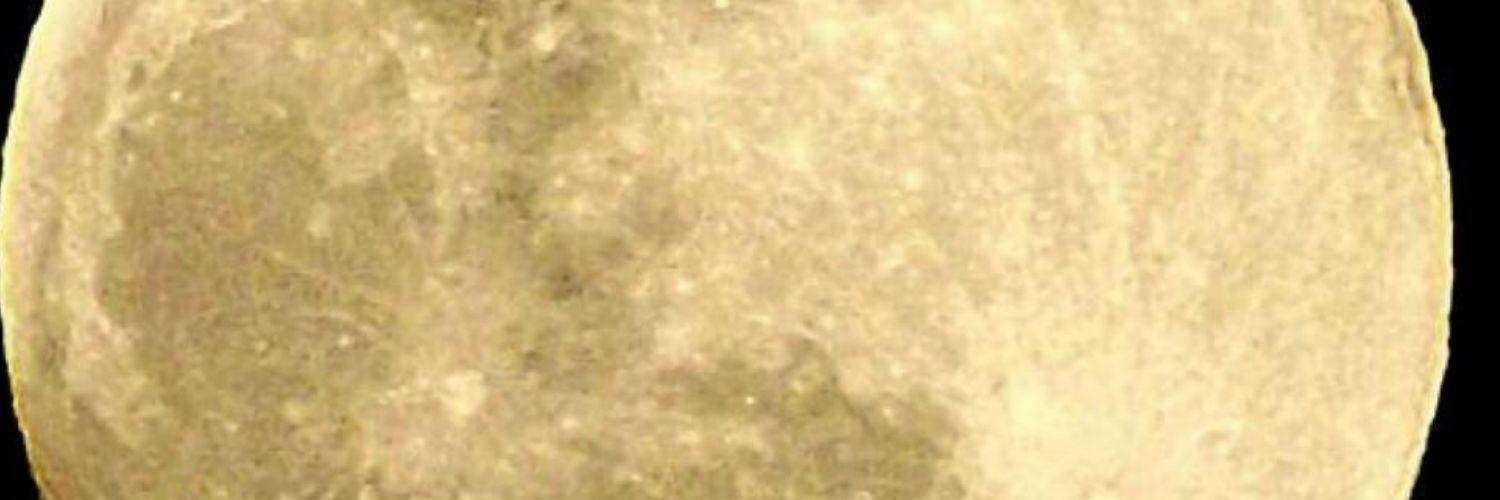debnervite's profile banner image