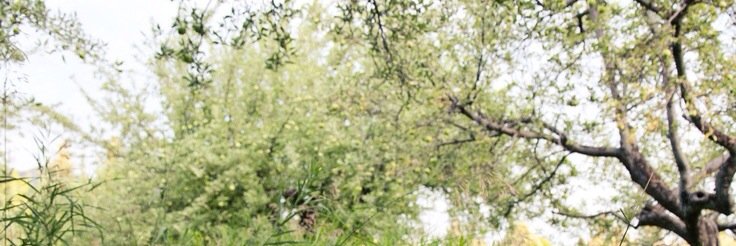 BouncingTot's profile banner image