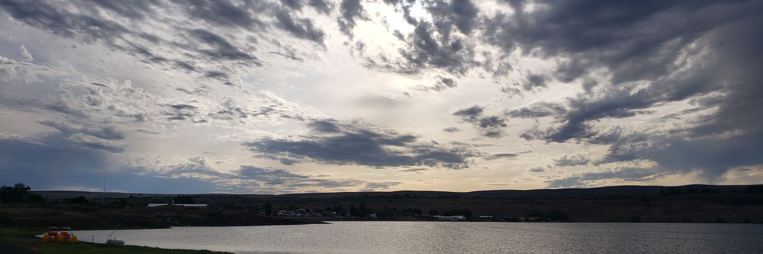 Freckled Ginger banner