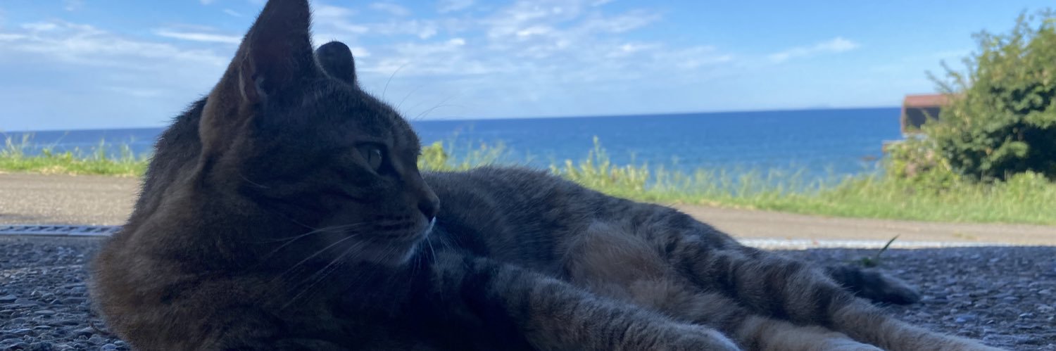 ミシル@構造と詩 banner