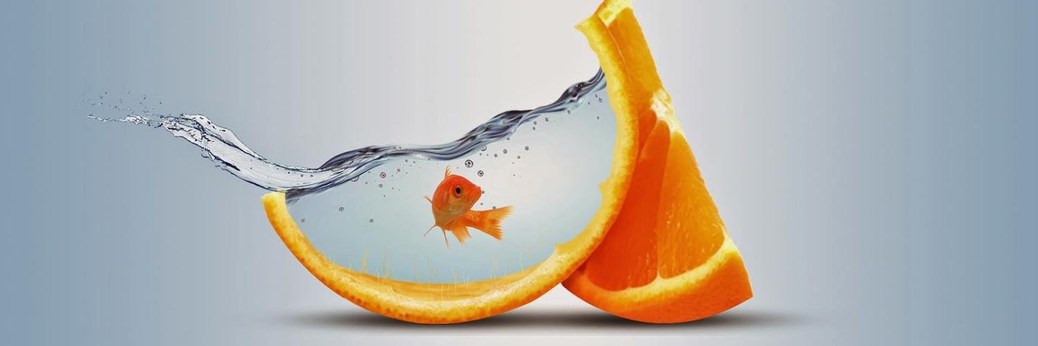 ngoloanvn's profile banner image