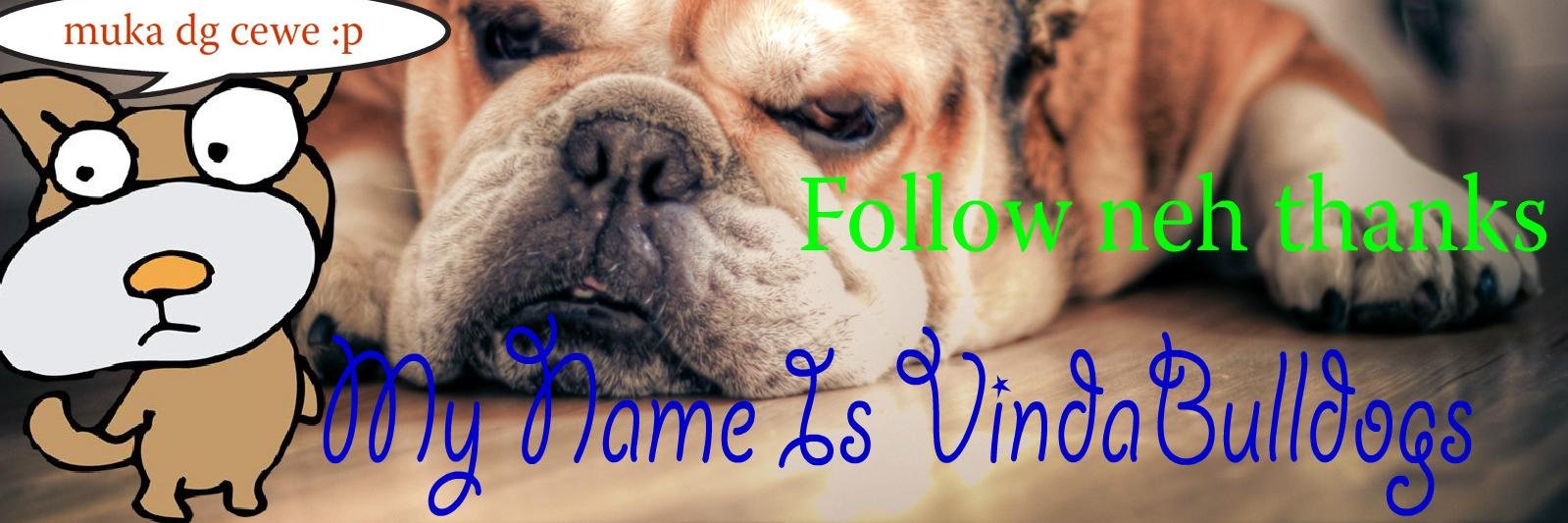 vindahaters's profile banner image