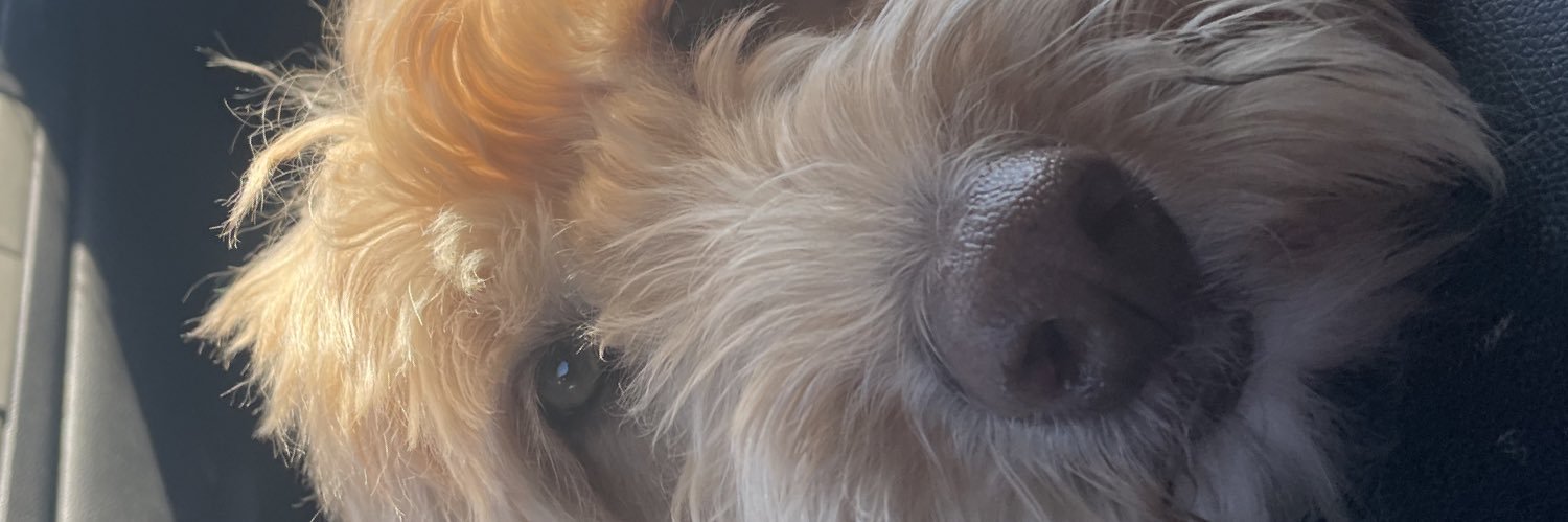ChestermereLake's profile banner image
