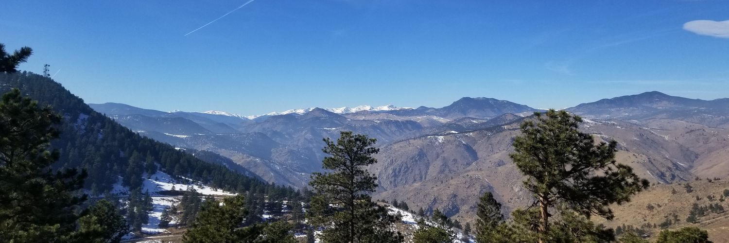 Mr_PoeTree's profile banner image