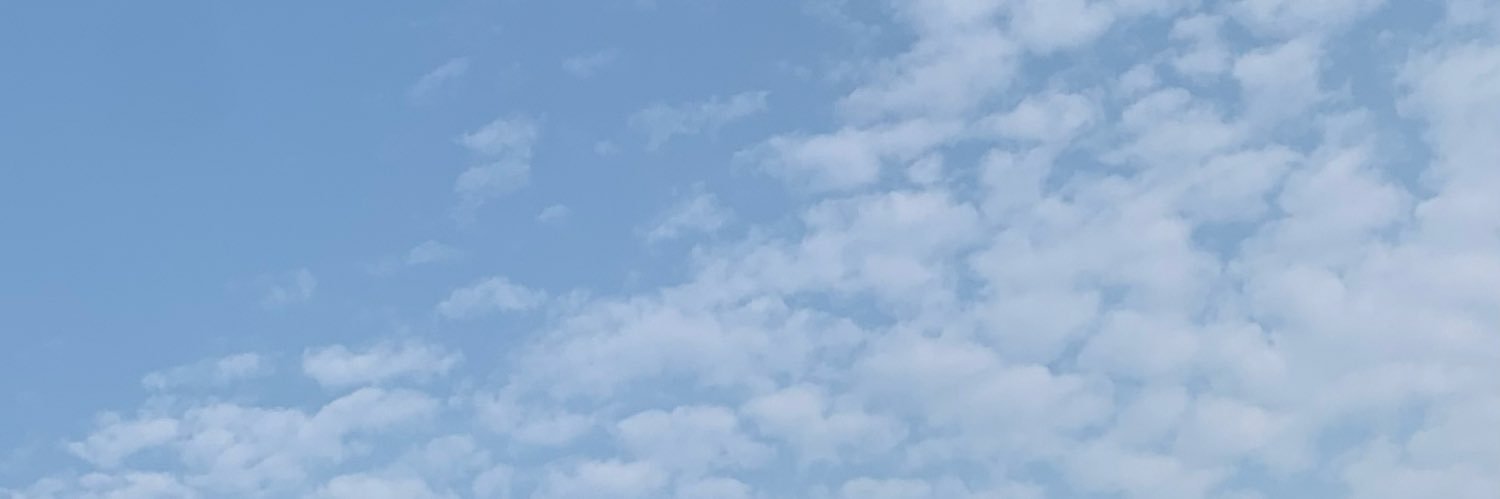 Valencia banner