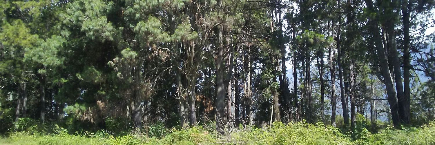 HectorAlbarran1's profile banner image