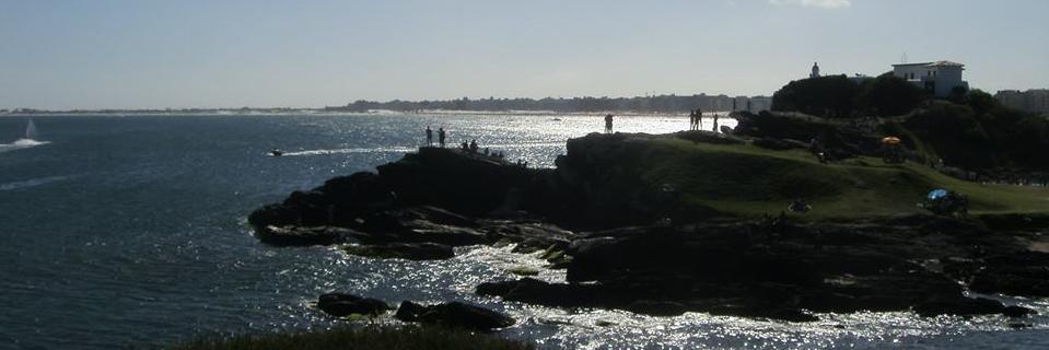 patynhaaraujo's profile banner image