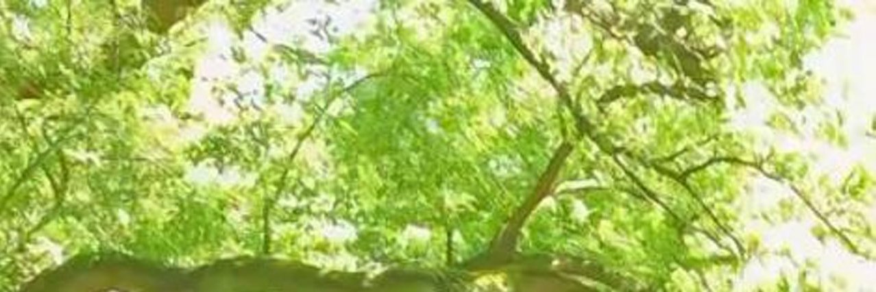 perfectlybaked's profile banner image