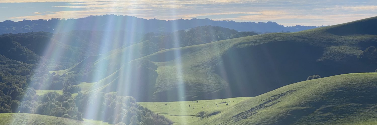 Elise Graves banner