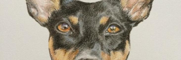 yowyows's profile banner image